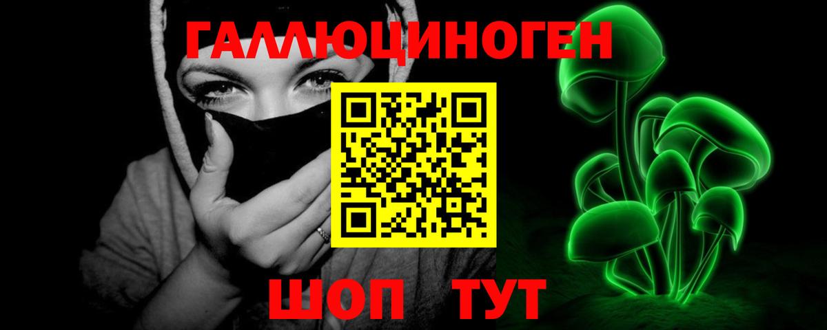 Кудрово  Псилоцибиновые грибы Psilocybe  Вход с VPN  Галлюциногенные грибы прущие грибы 