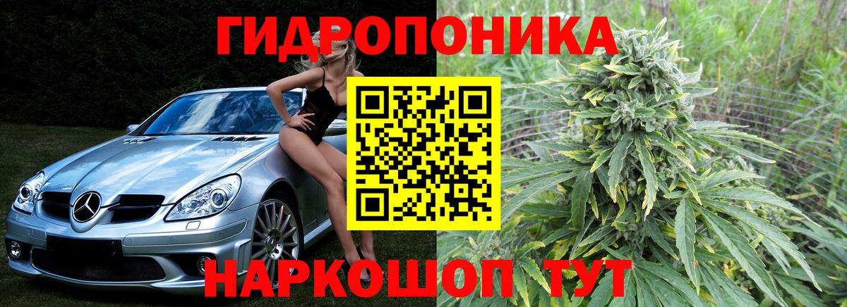 Кудрово  Каннабис Ganja  Вход с VPN  Канабис AK-47  Марихуана конопля  Конопля тримм 